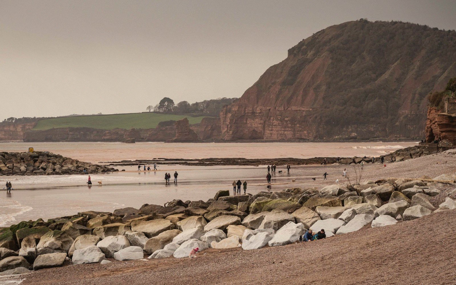 Babbacombe & Oddicombe — the Riviera's red-cliff coves (wide)