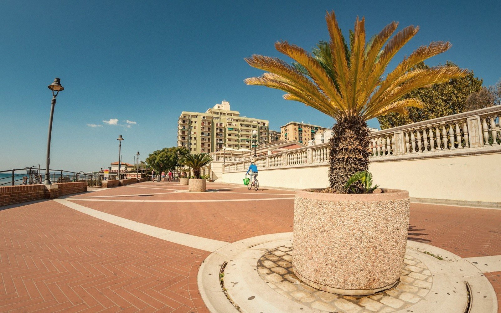 The Promenade — the palm-lined seafront